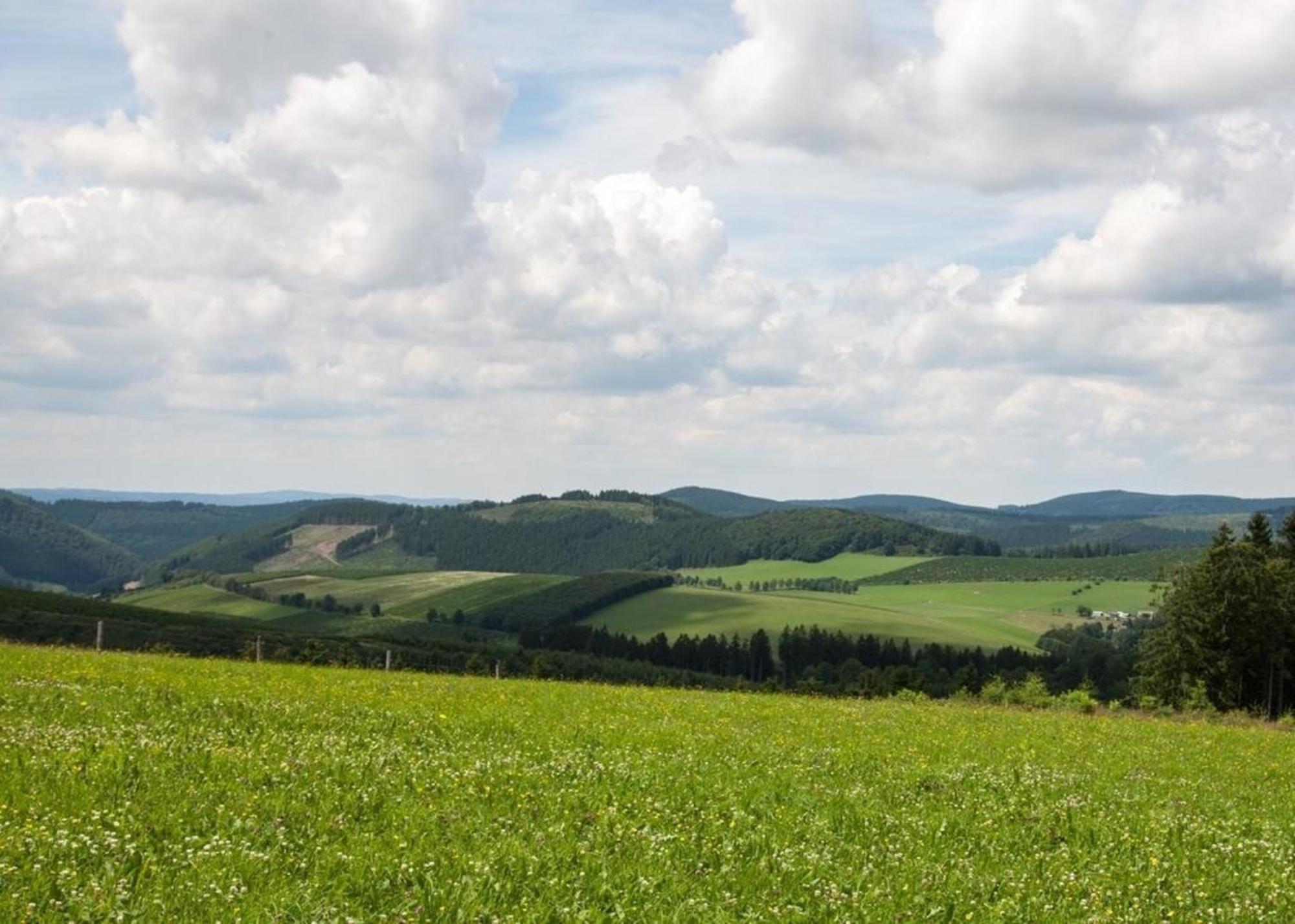 Ferienhaus Grenzweg Winterberg Bagian luar foto